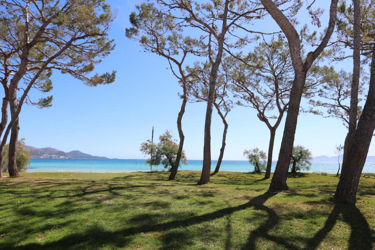 Paisaje cerca de este hotel