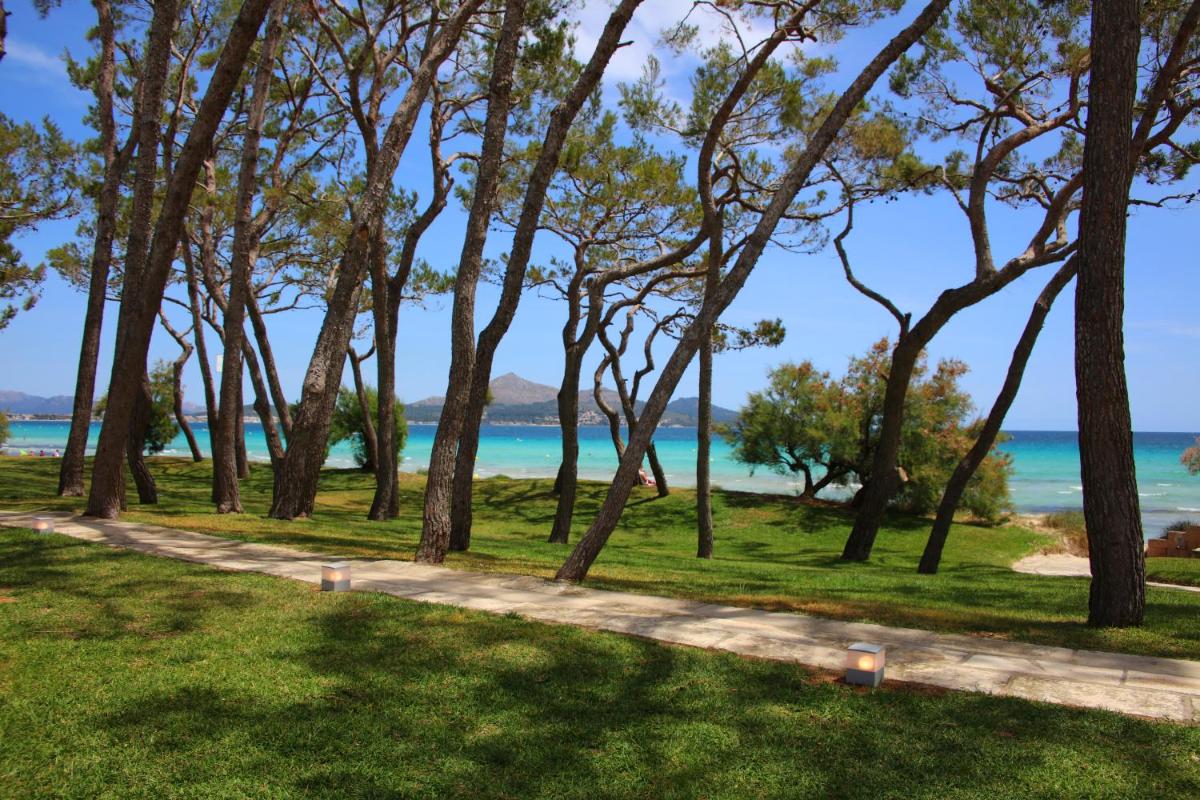 Paisaje cerca de este hotel