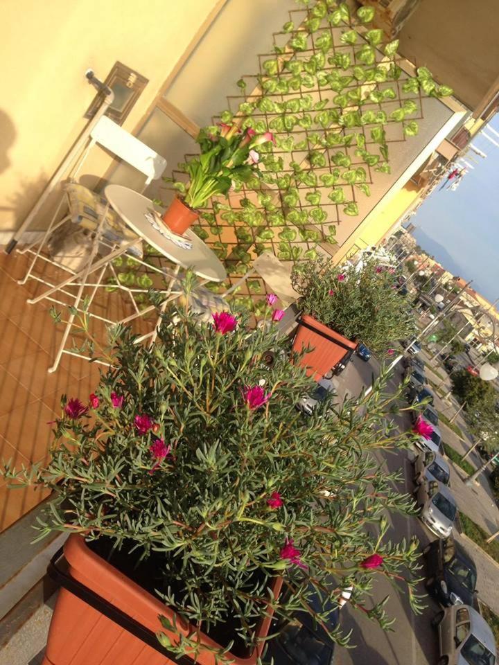 Leucosia Bed & Breakfast - Housity