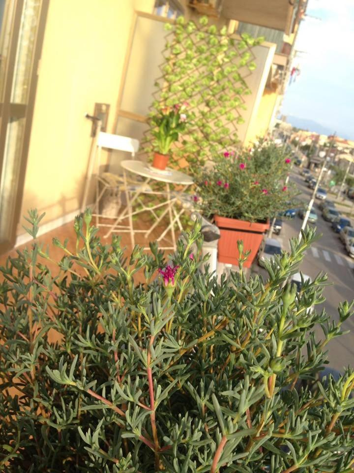 Leucosia Bed & Breakfast - Housity