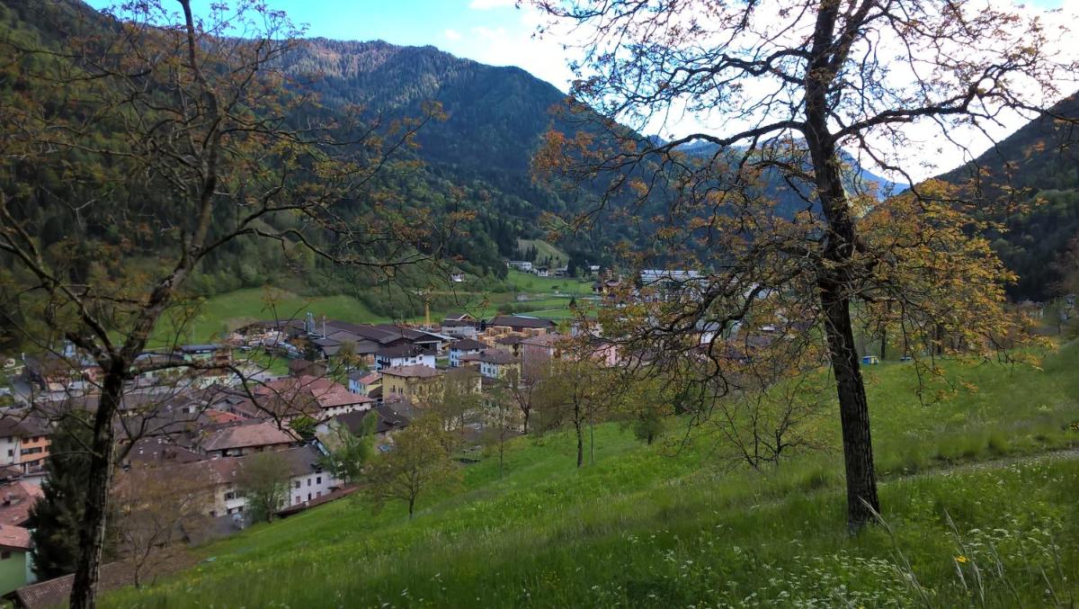 B&B ai Pini - Housity
