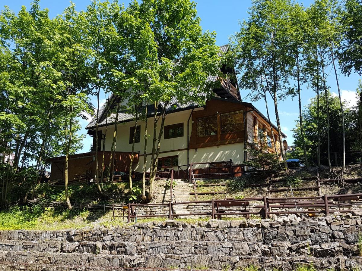 Homestay Srebrny Potok - Housity