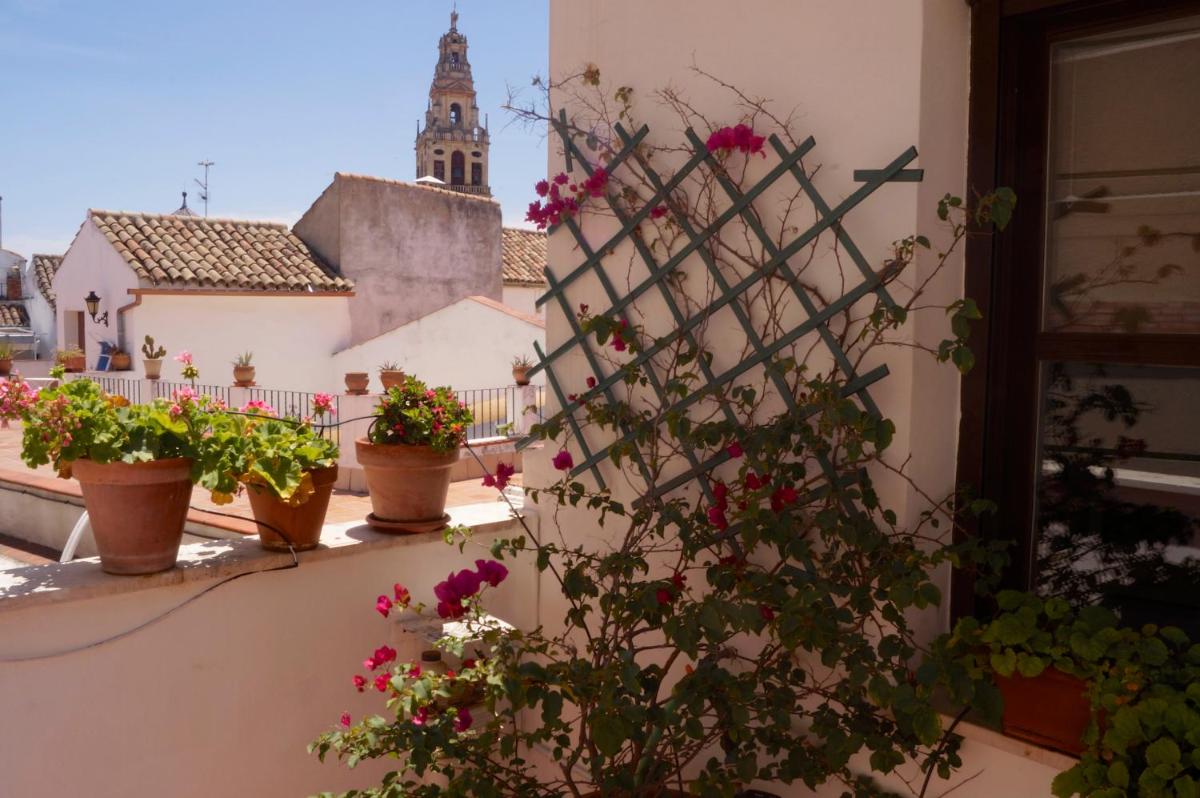 Penthouse Puerta de la Judería - Housity
