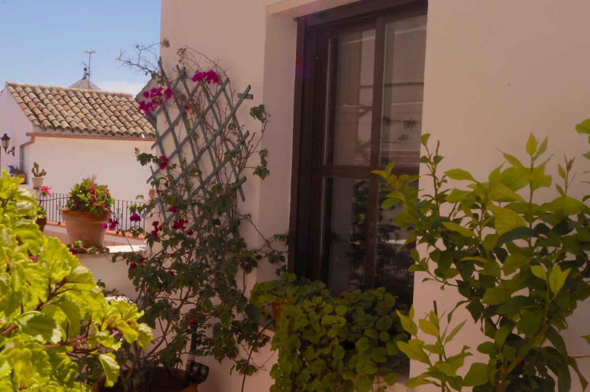 Penthouse Puerta de la Judería - Housity