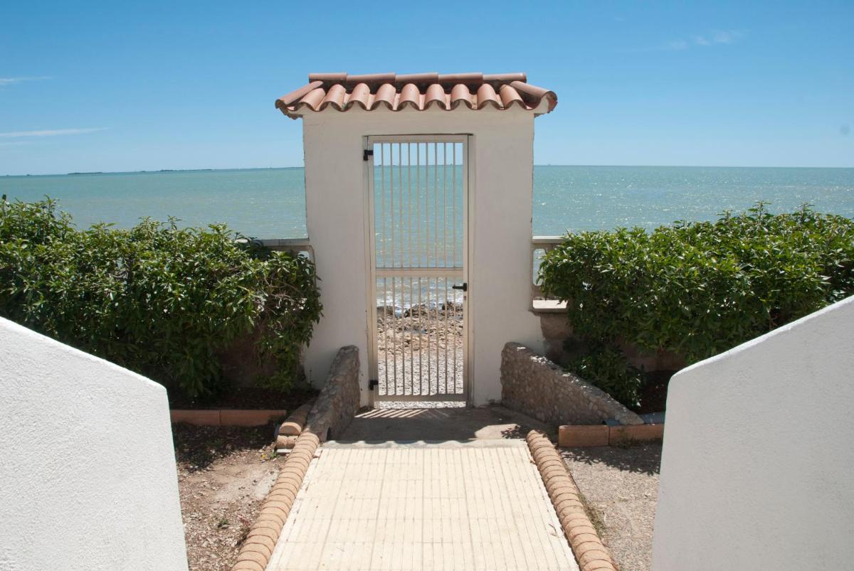 Sargantana Blava - Housity