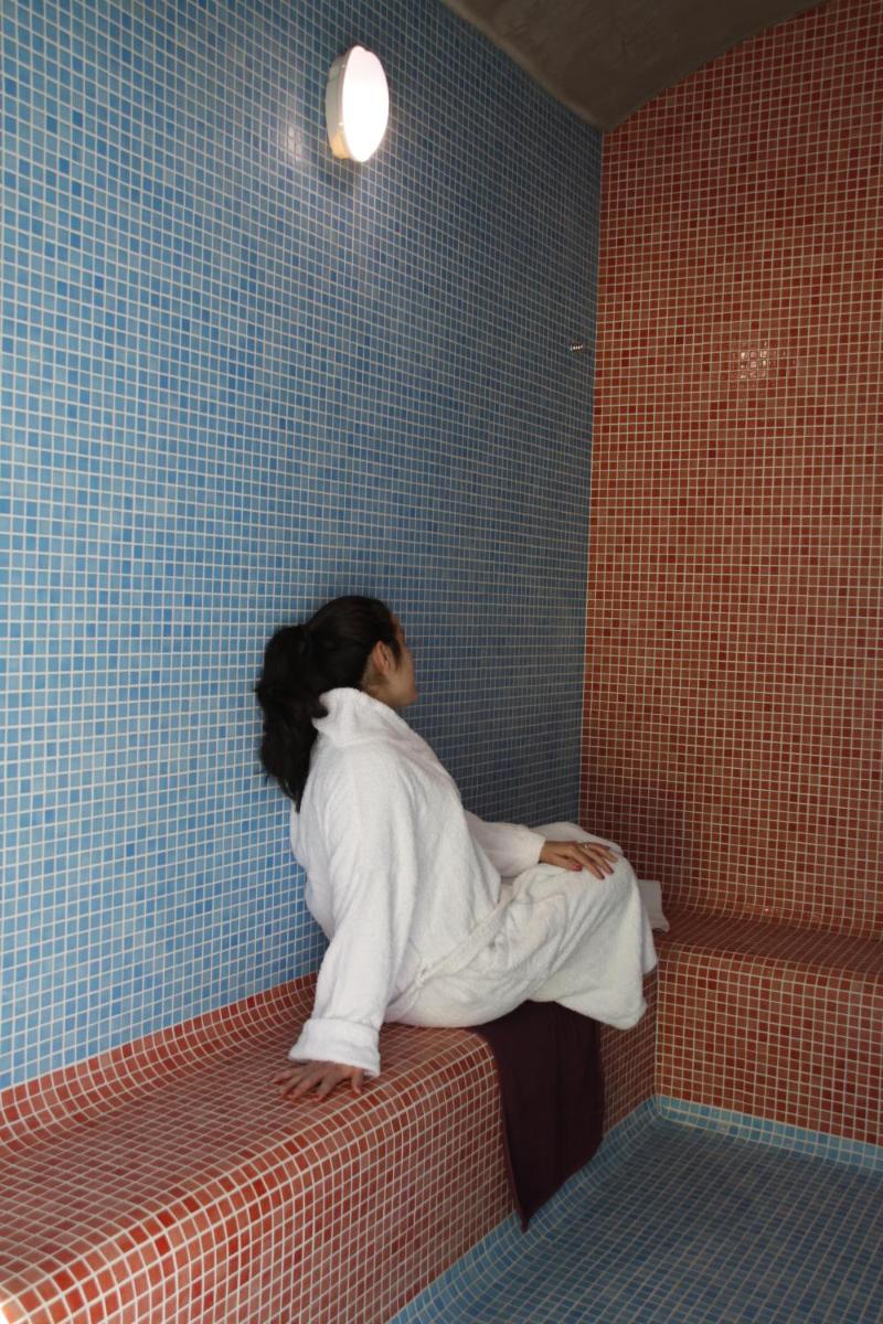 Imagem da galeria de Palace Hotel & SPA Termas do Bicanho em Soure