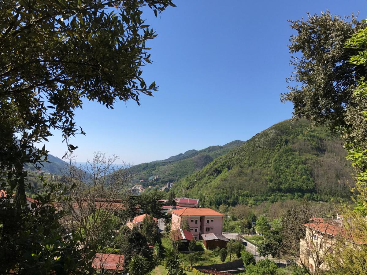Villa Citarella - Housity