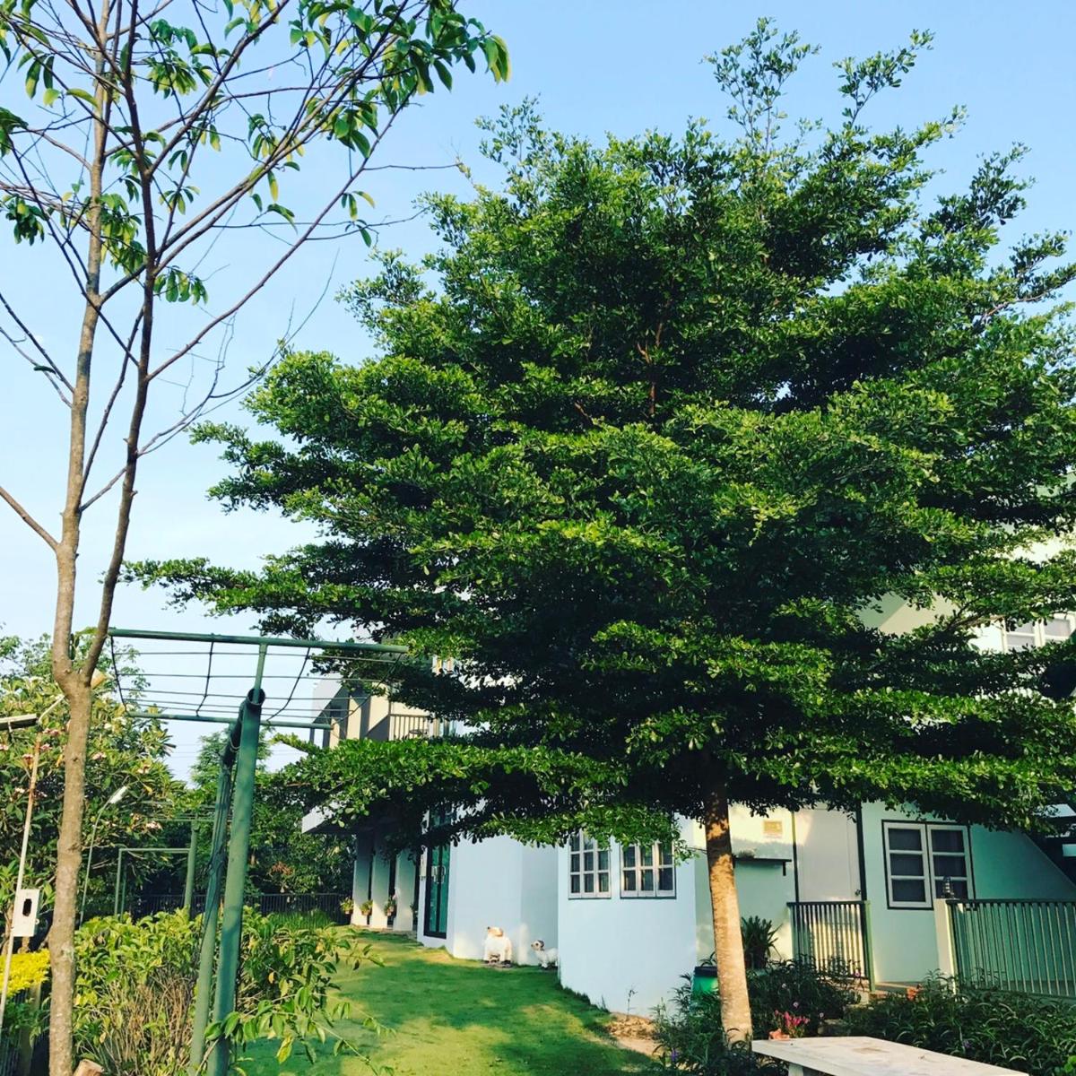 Little House at Khaoyai - Housity