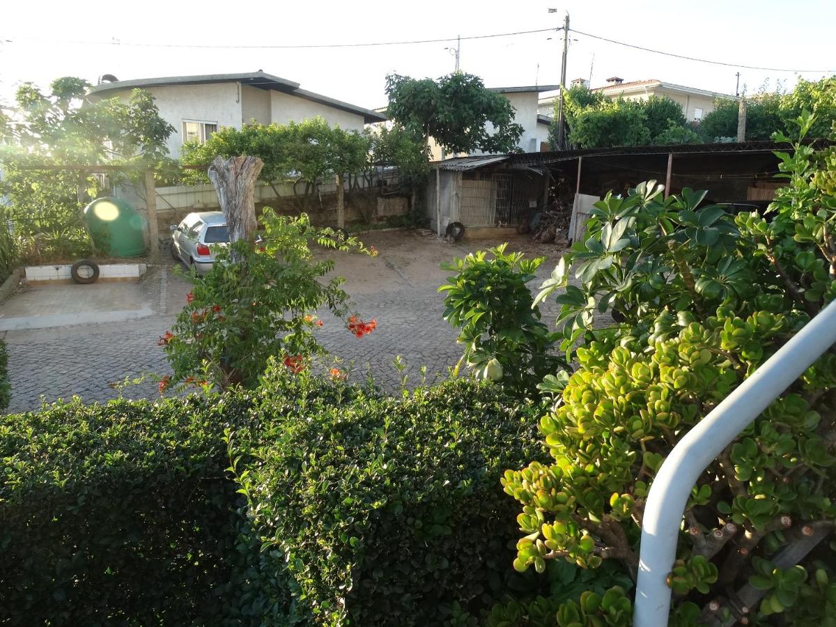 A Cepa - Housity