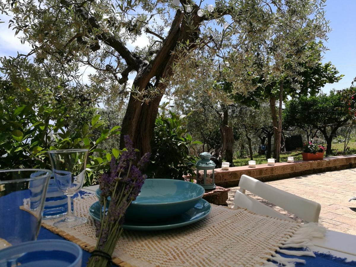 Villa Rosaria - Housity
