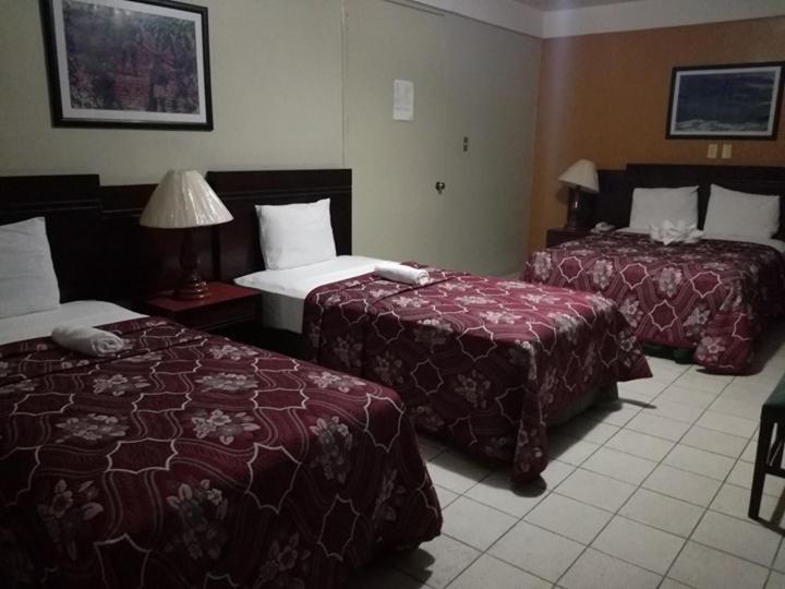 Suitetrails - Hotel Dinastía Colima