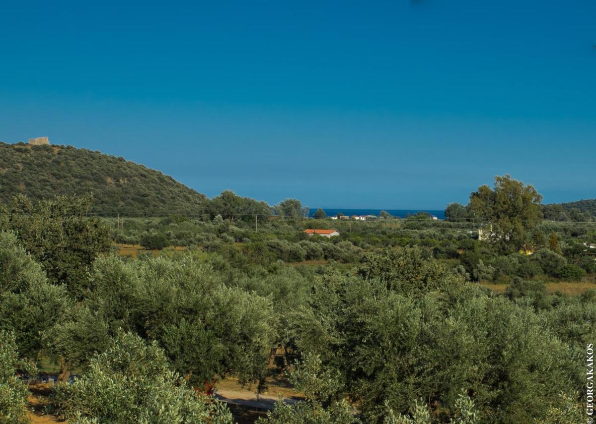 Nefeli Studios - Housity