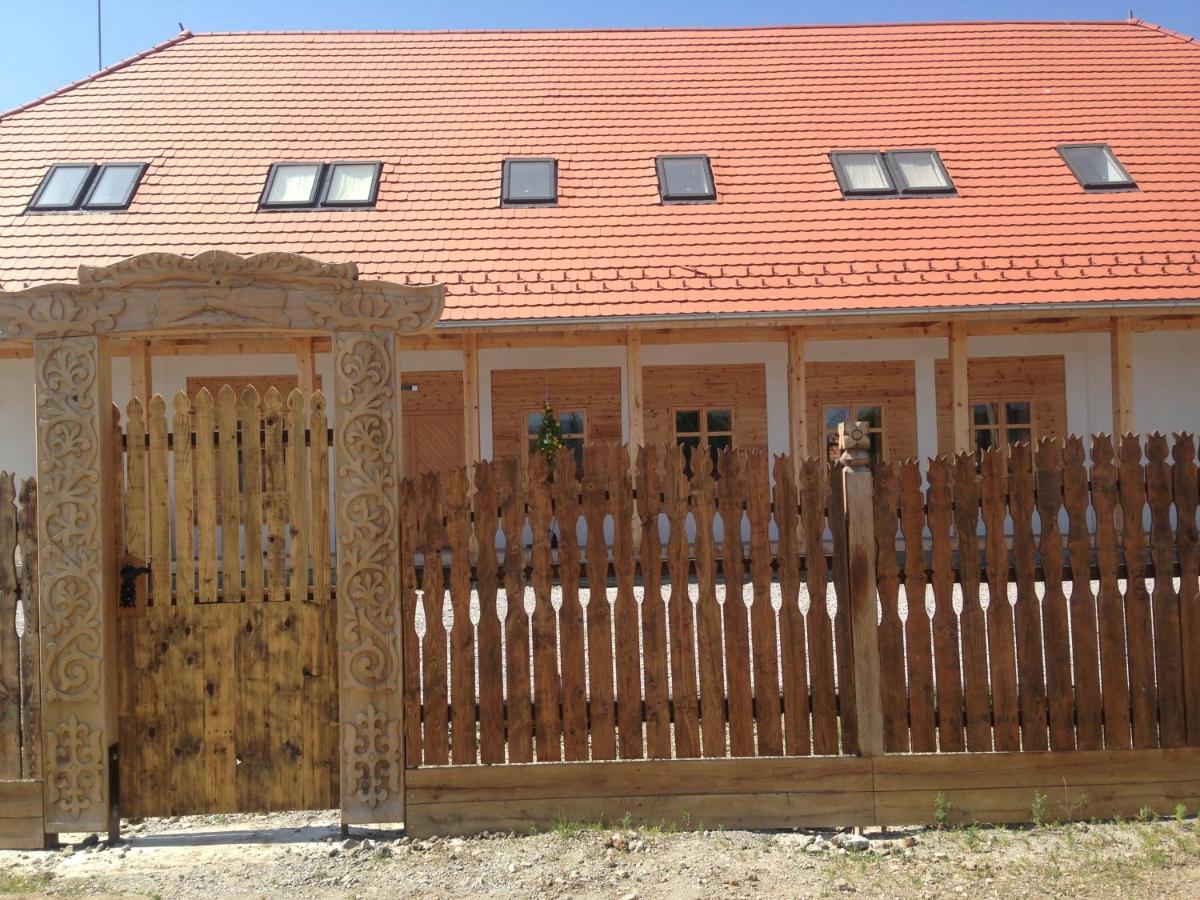 Vass Panzio - Housity