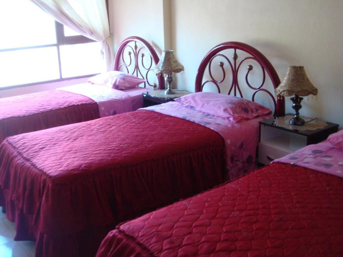 Hostal Olympic - Housity