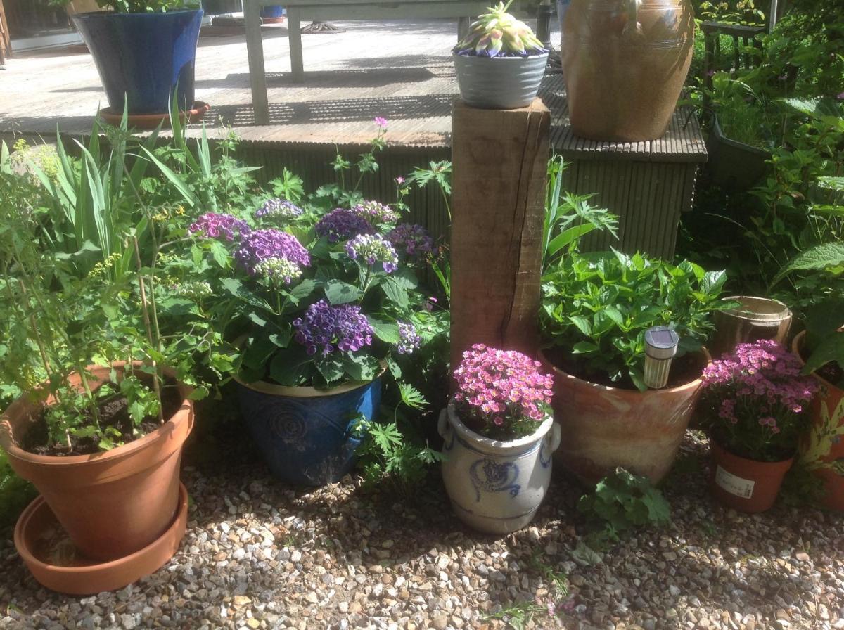 Au Fond du Jardin Maison d'hôtes - Housity