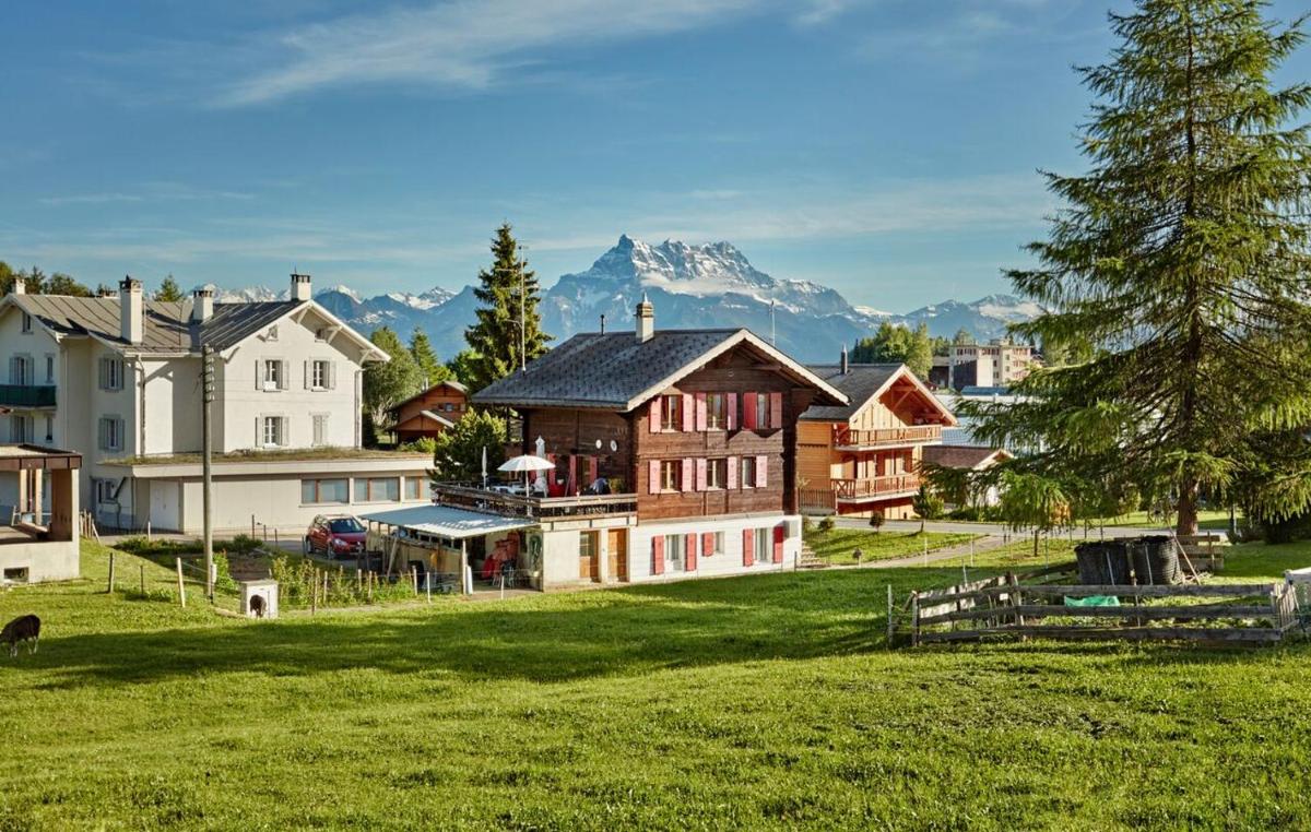 Le Liseron - Housity