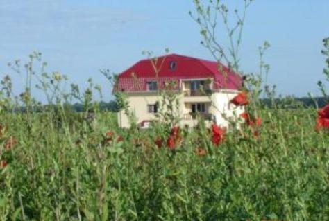 Pensiunea Snagov Lac - Housity
