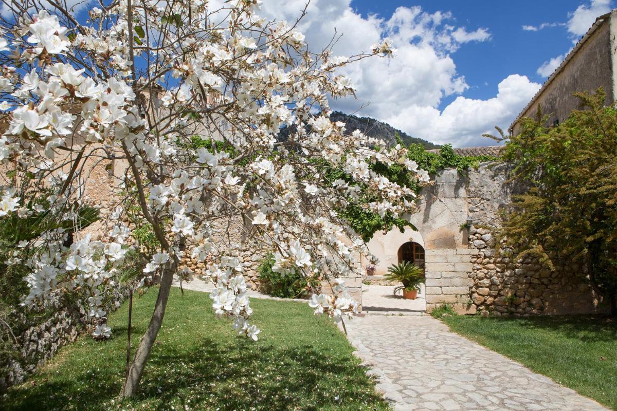 Jardín al aire libre en Ca'n Beneït