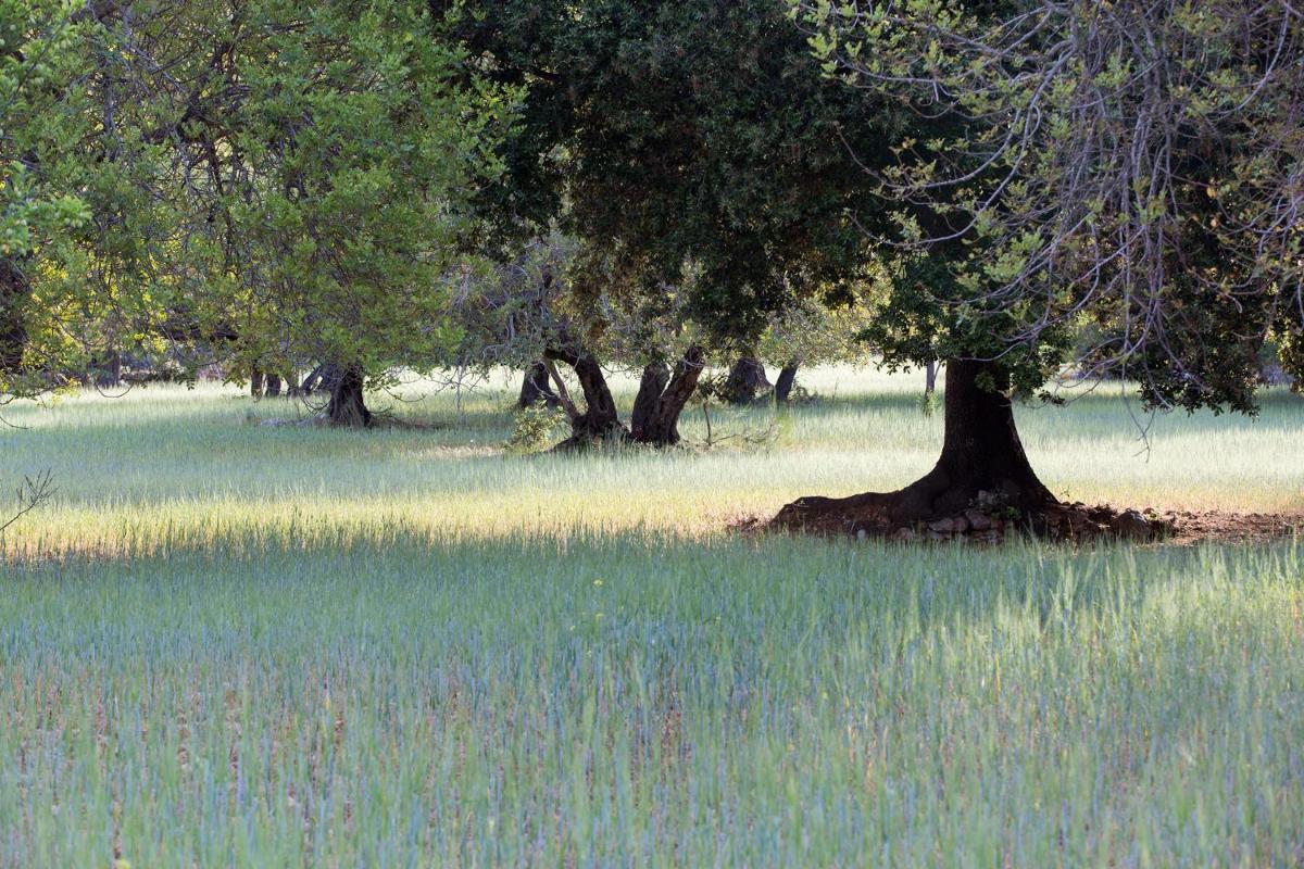 Paisaje cerca de este hotel