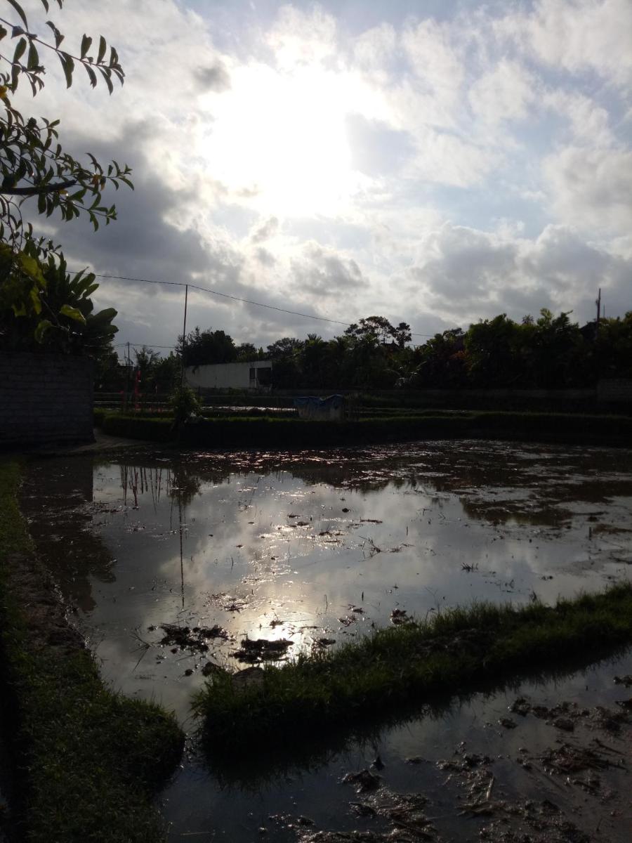 Villa Esa Ubud - Housity