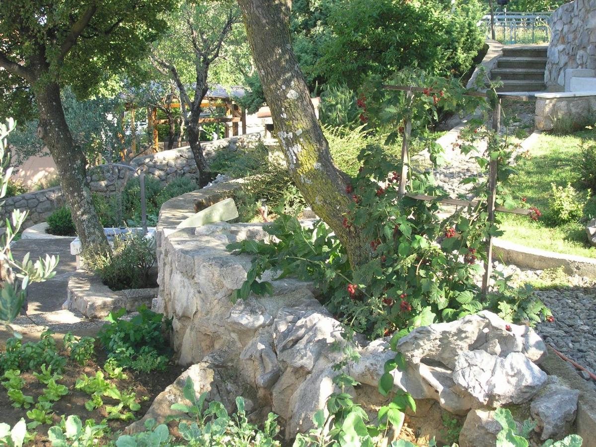 Apartment Viktoria - Housity