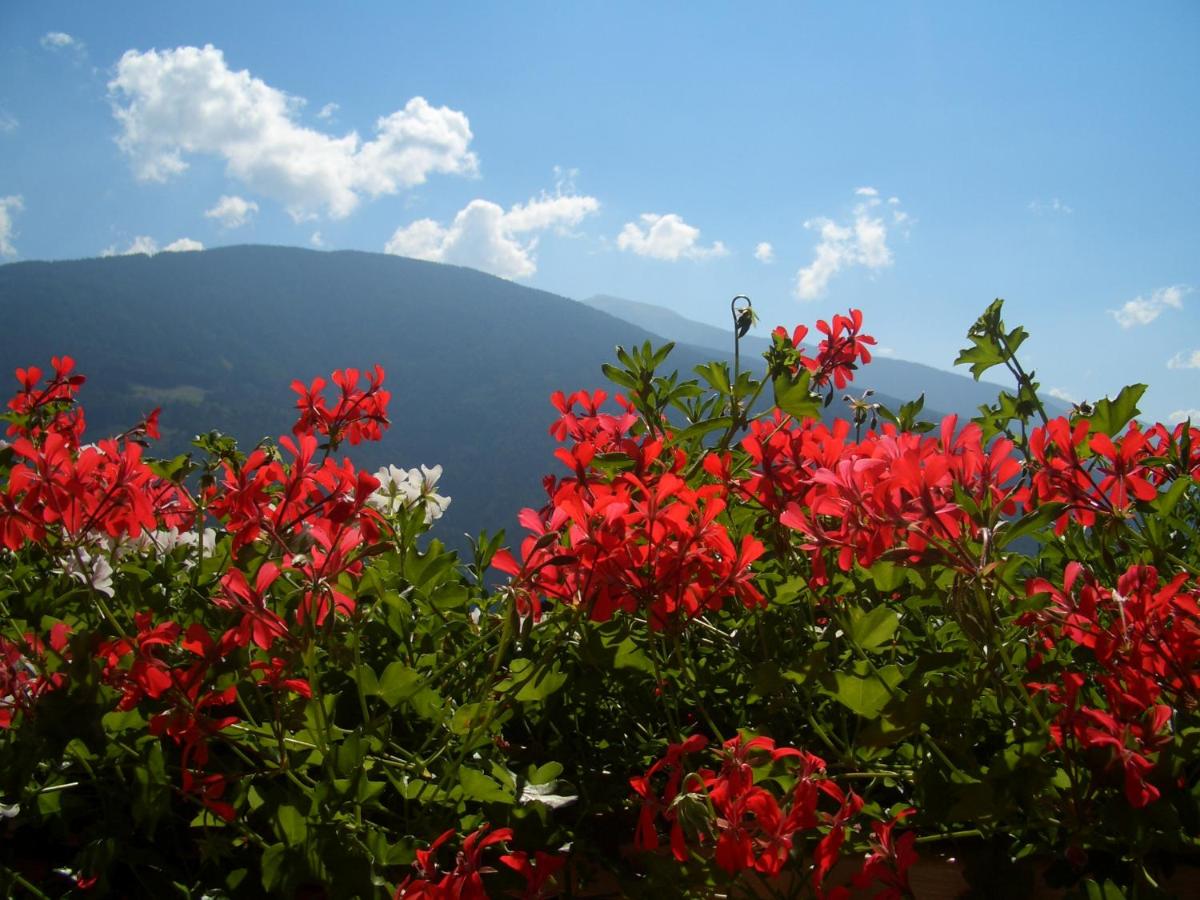 Apartments Tauberhof - Housity
