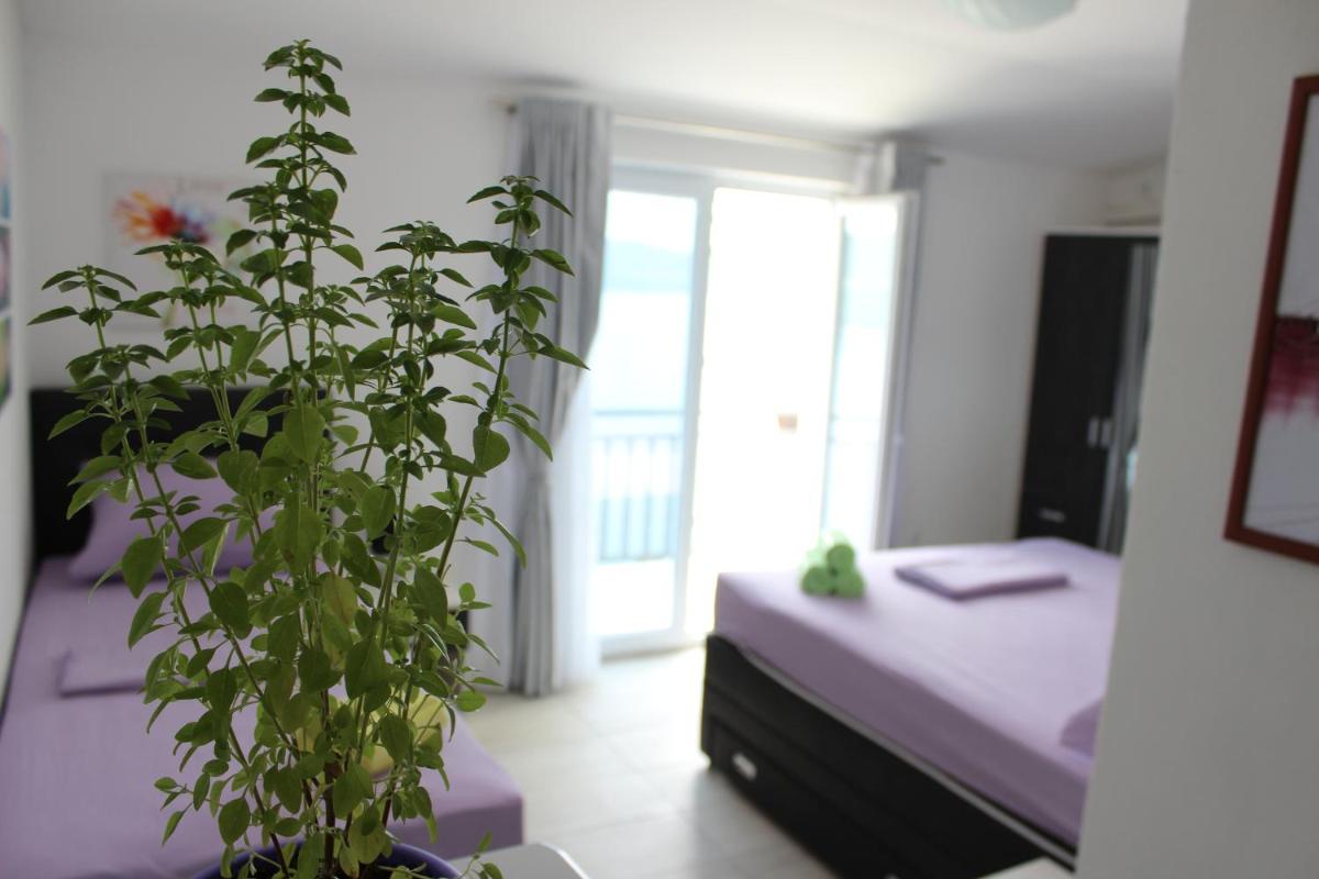Guest House Put - Housity