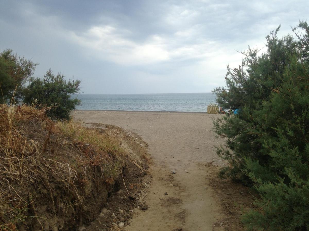 Le 3 tartarughe - Housity