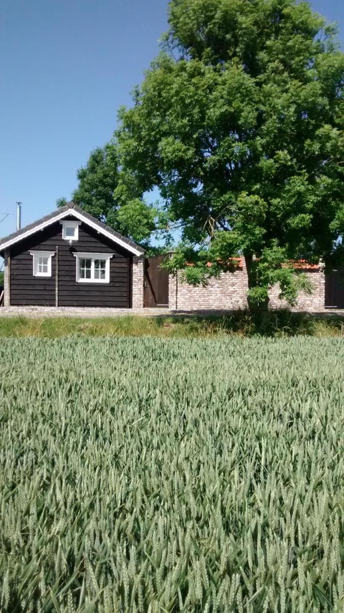 Dijkwoning Cadzand - Housity