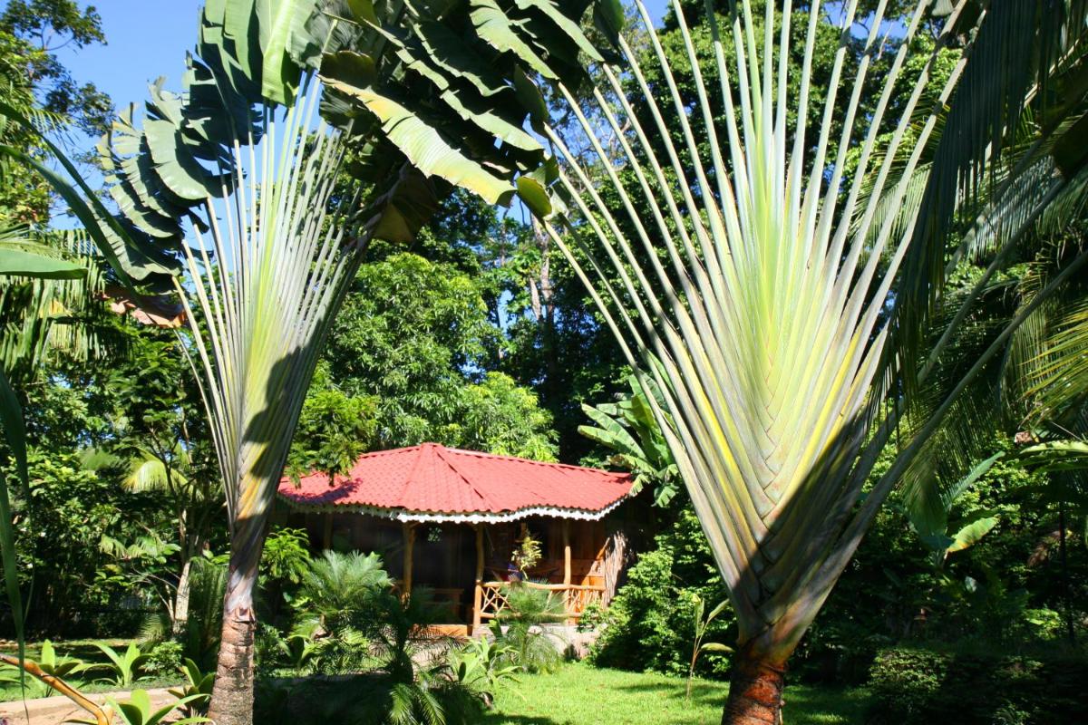 Hotel La Costa de Papito - Housity