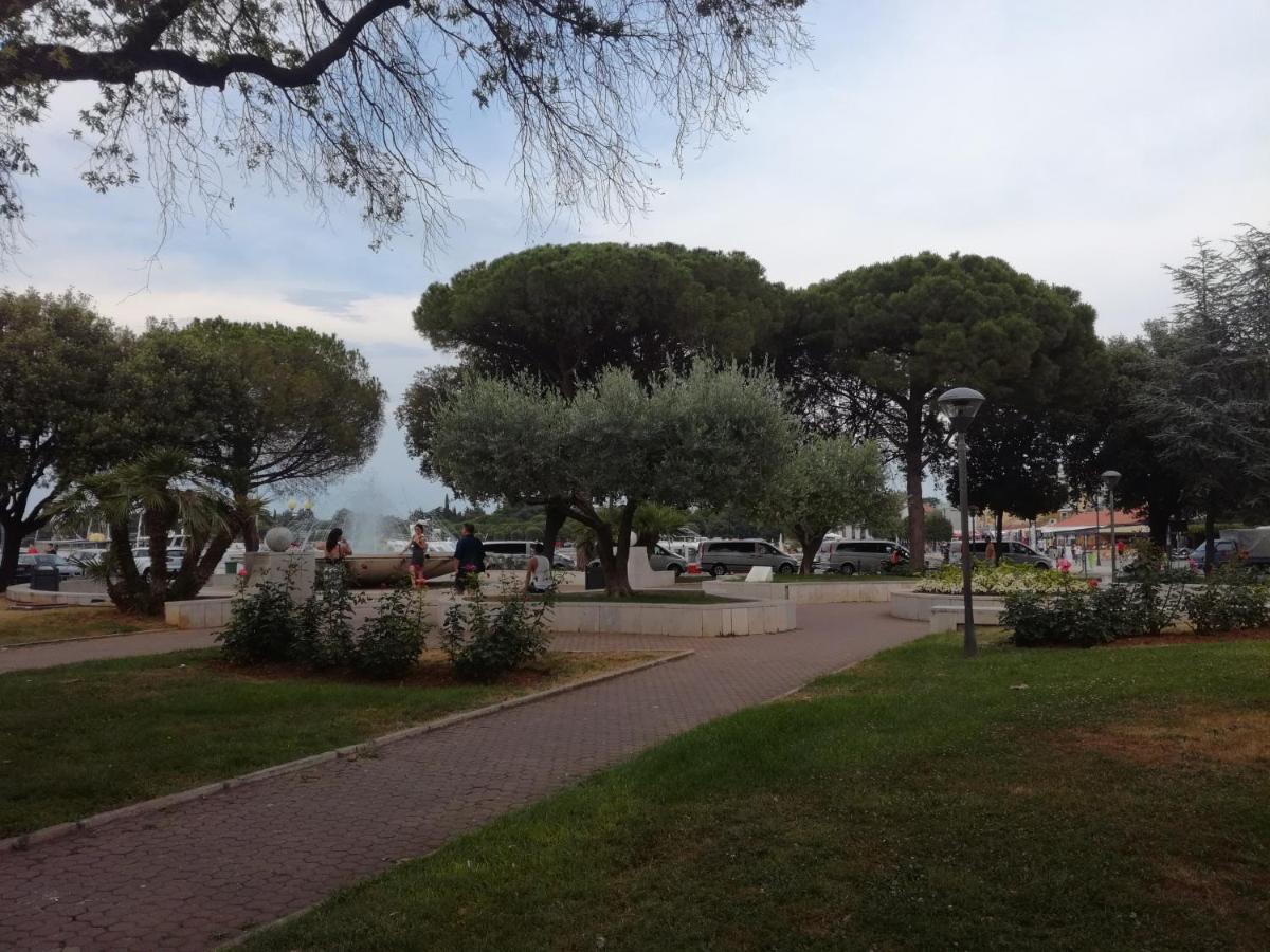 Guest House Kvartin - Housity