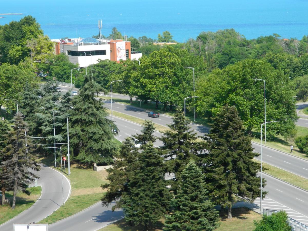 Happy Vacation 2 - Hizvo
