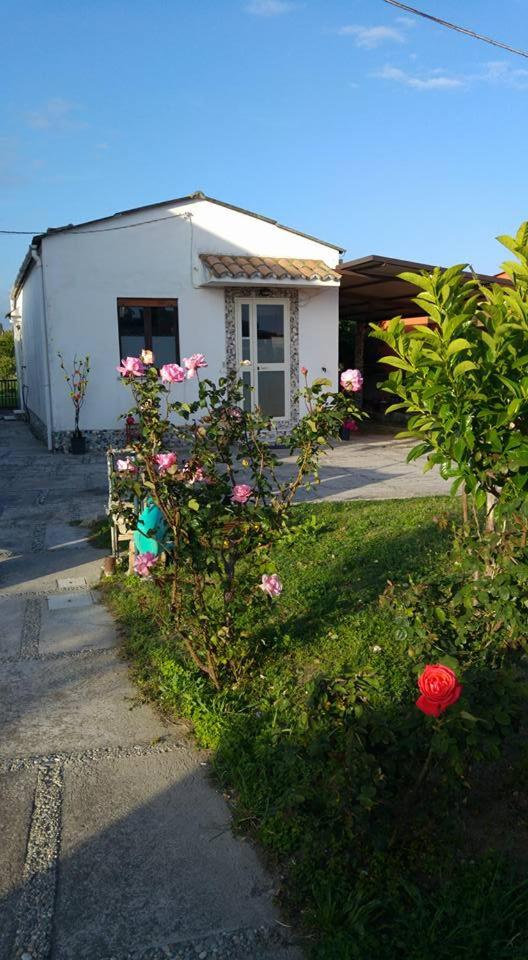 Villetta Scolacium - Housity