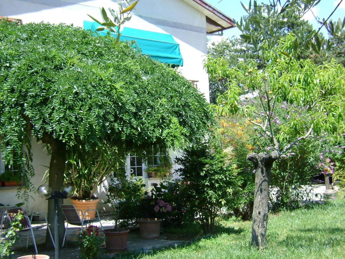 B&B La Mimosa - Housity