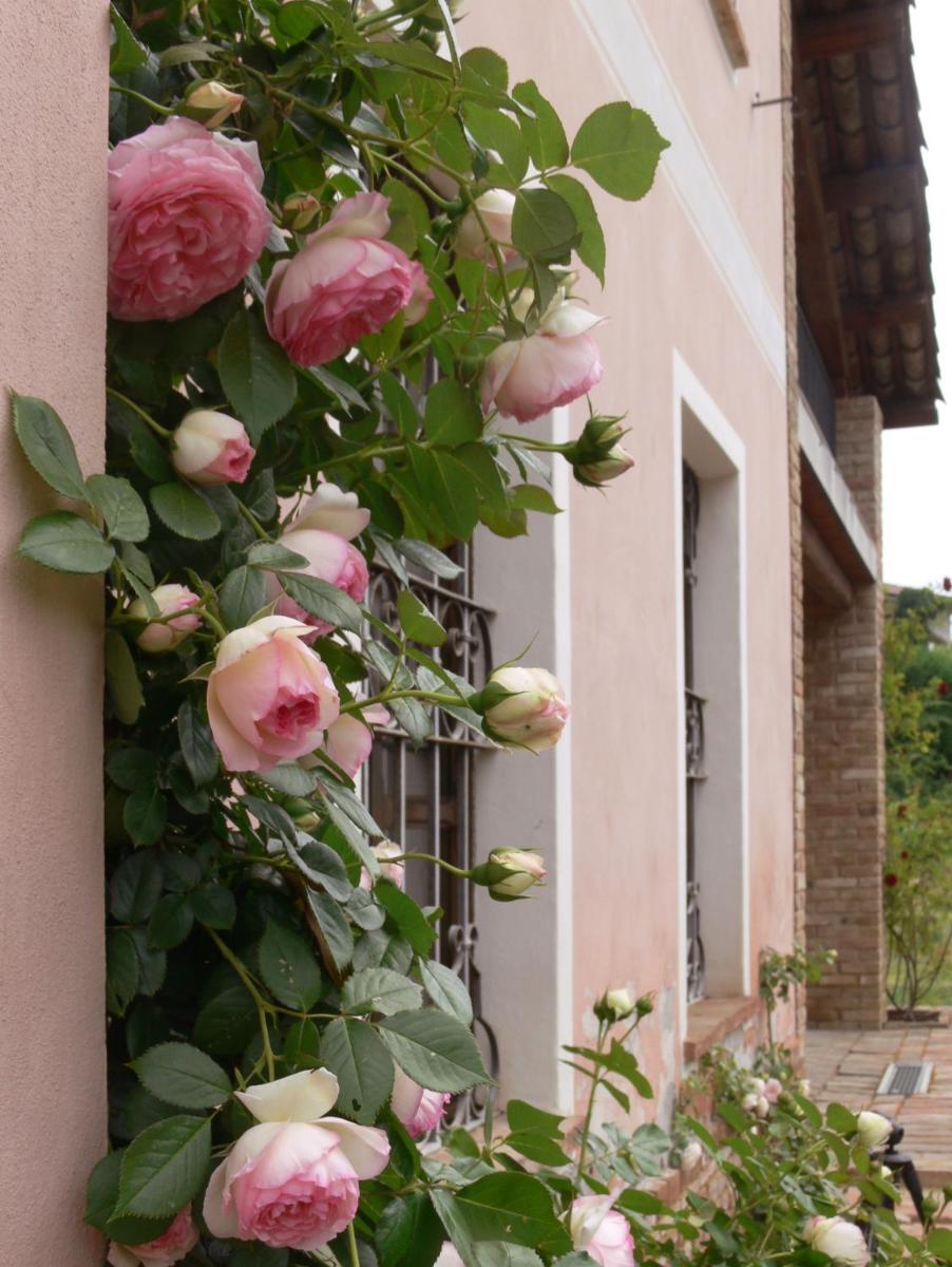 Casa Isabella - Housity