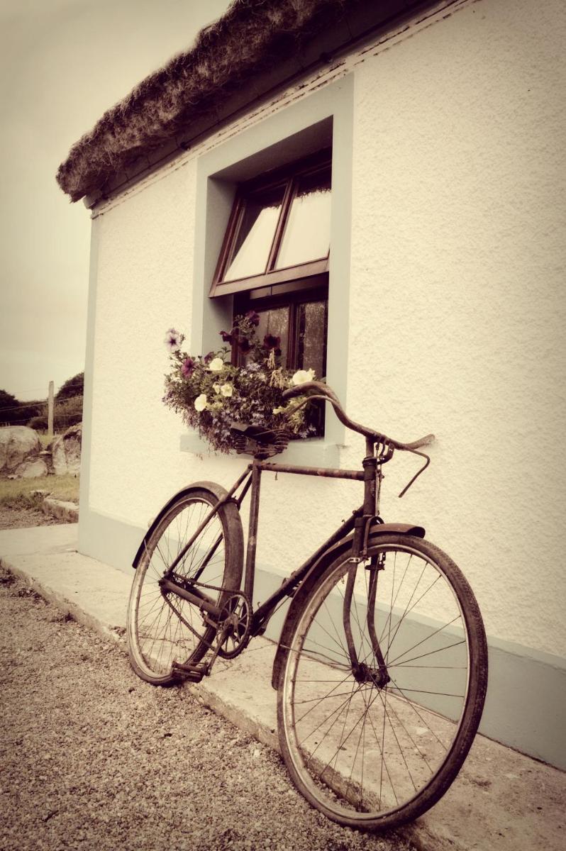 Biddys Cottage - Housity