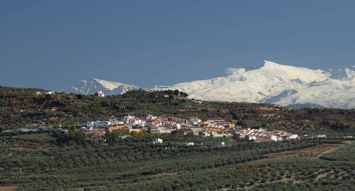 Casas Medina Güevéjar - Housity