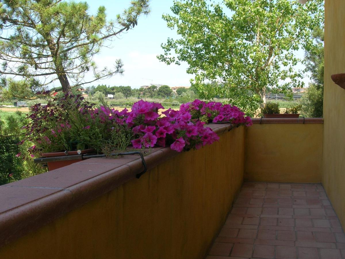 B&B Il Moscondoro - Housity
