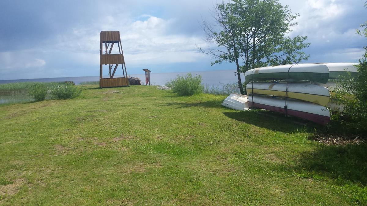 Tammispää Camping - Housity