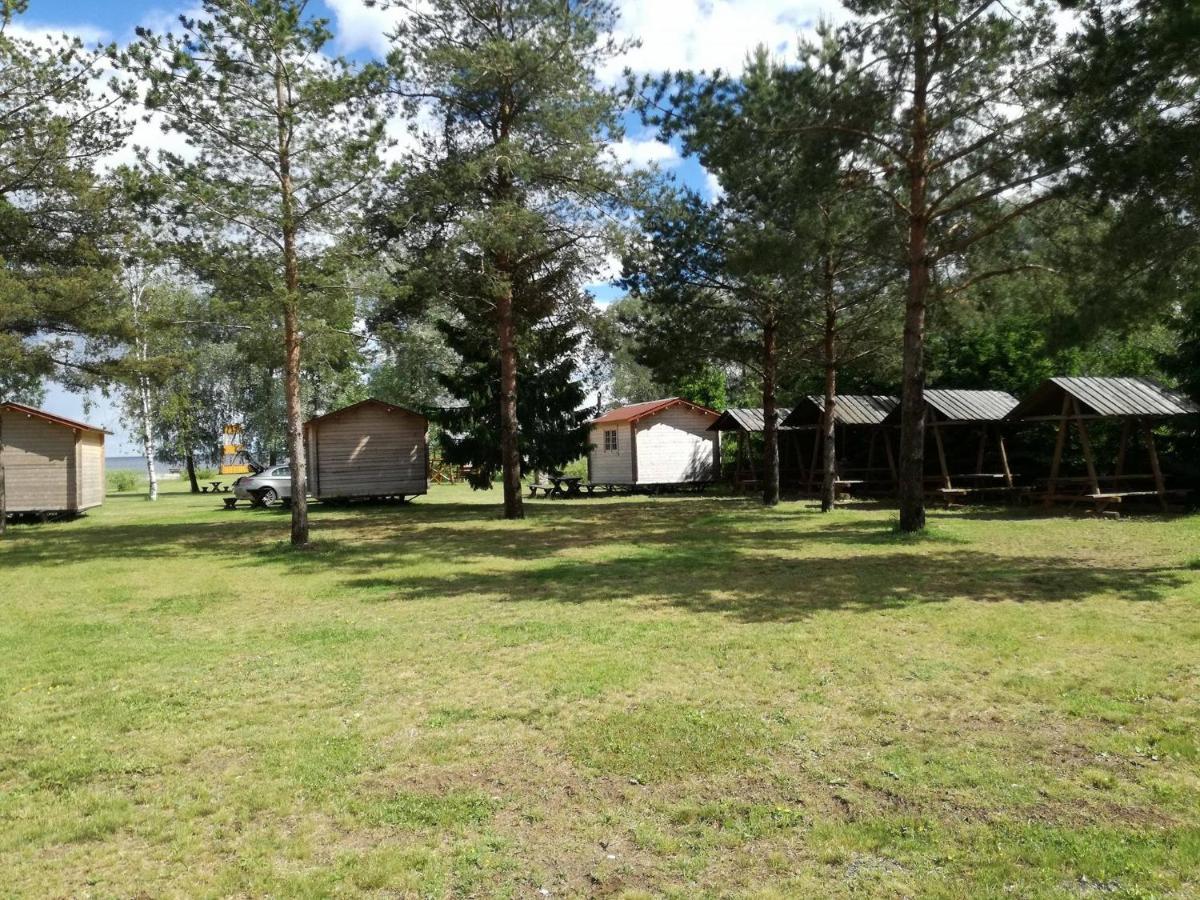 Tammispää Camping - Housity