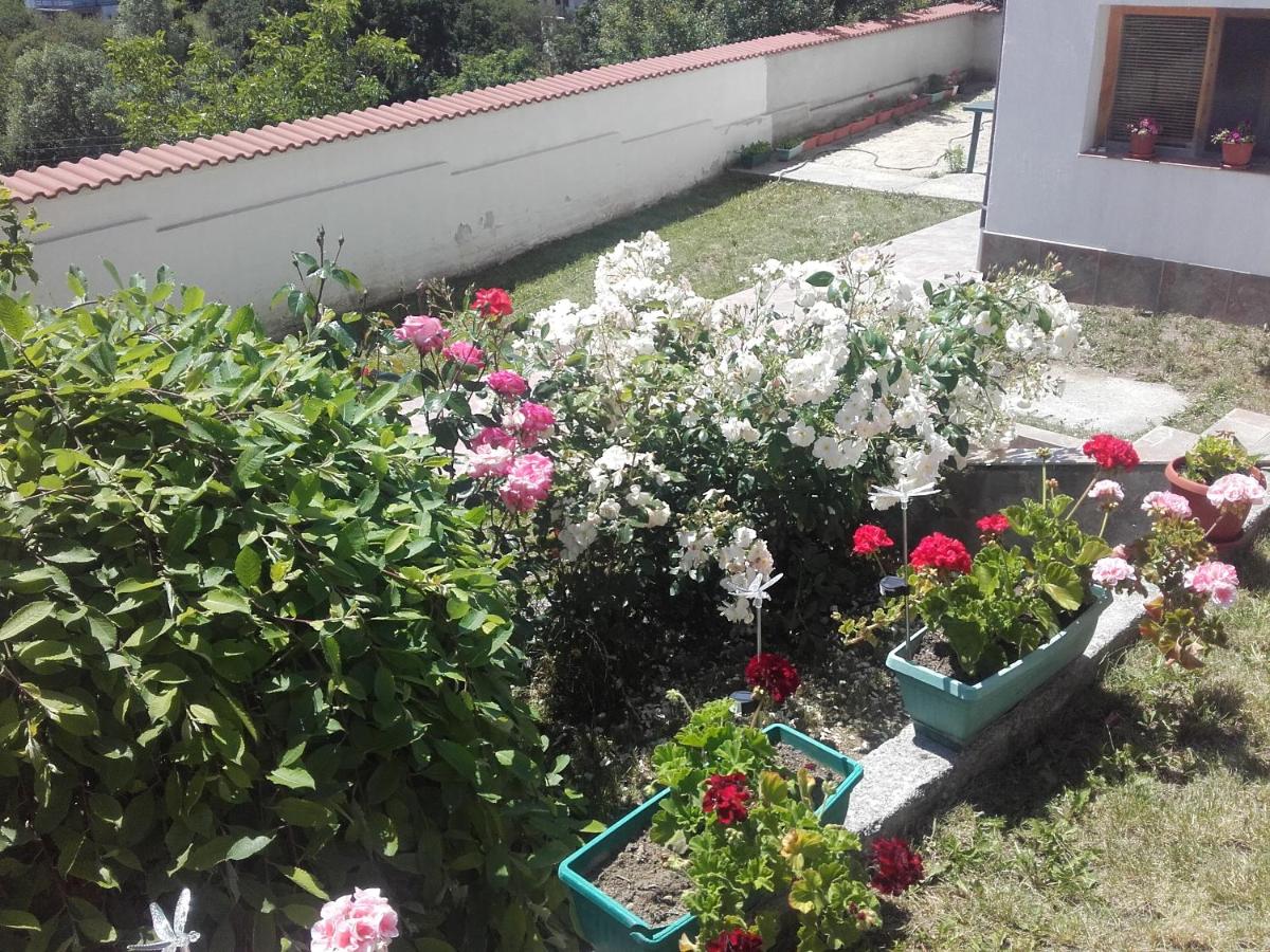 Hotel Aleksievata Kashta - Housity