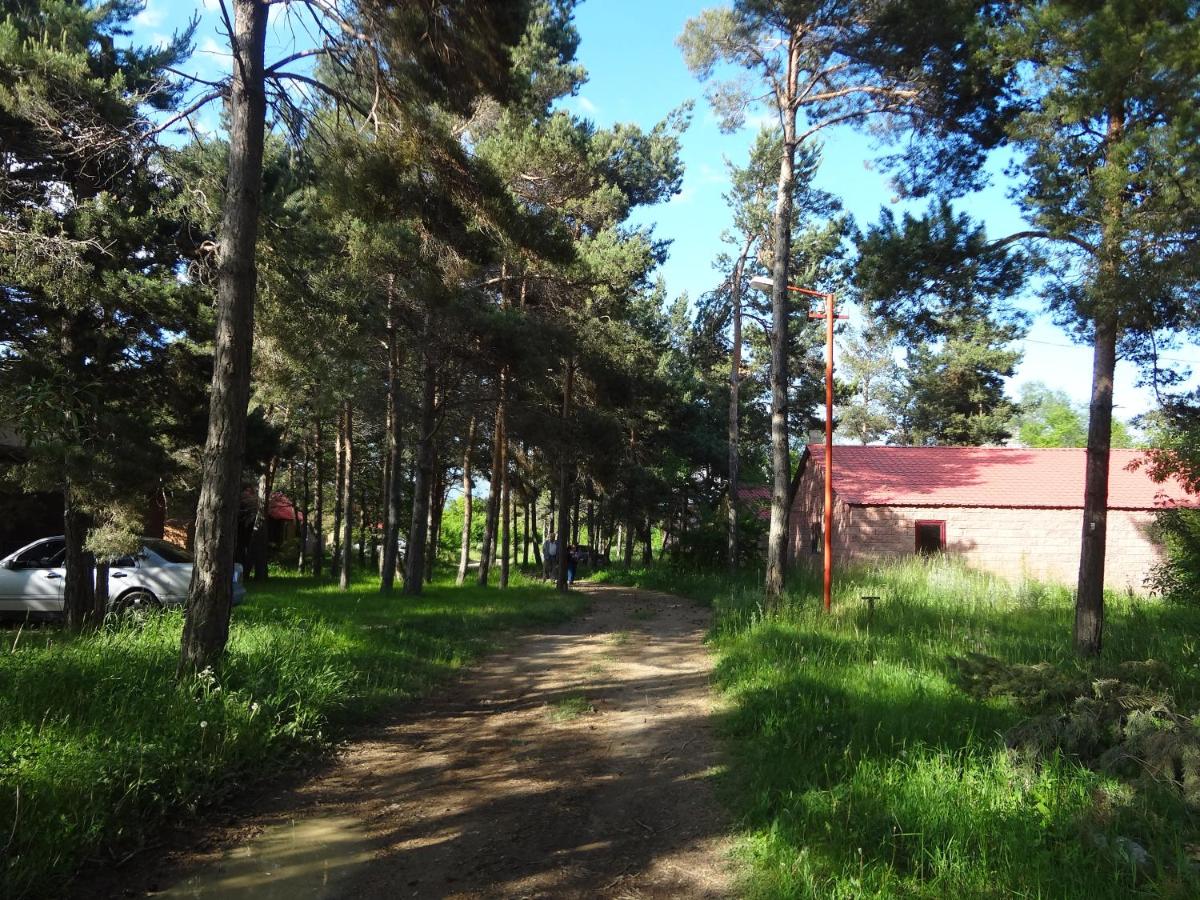 Sevan lake cottage in Lavanda city - Housity
