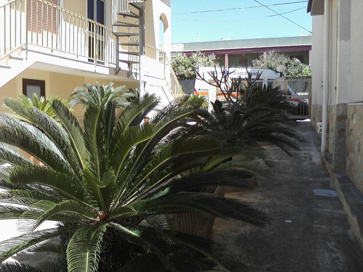 Al Camedrio - Housity