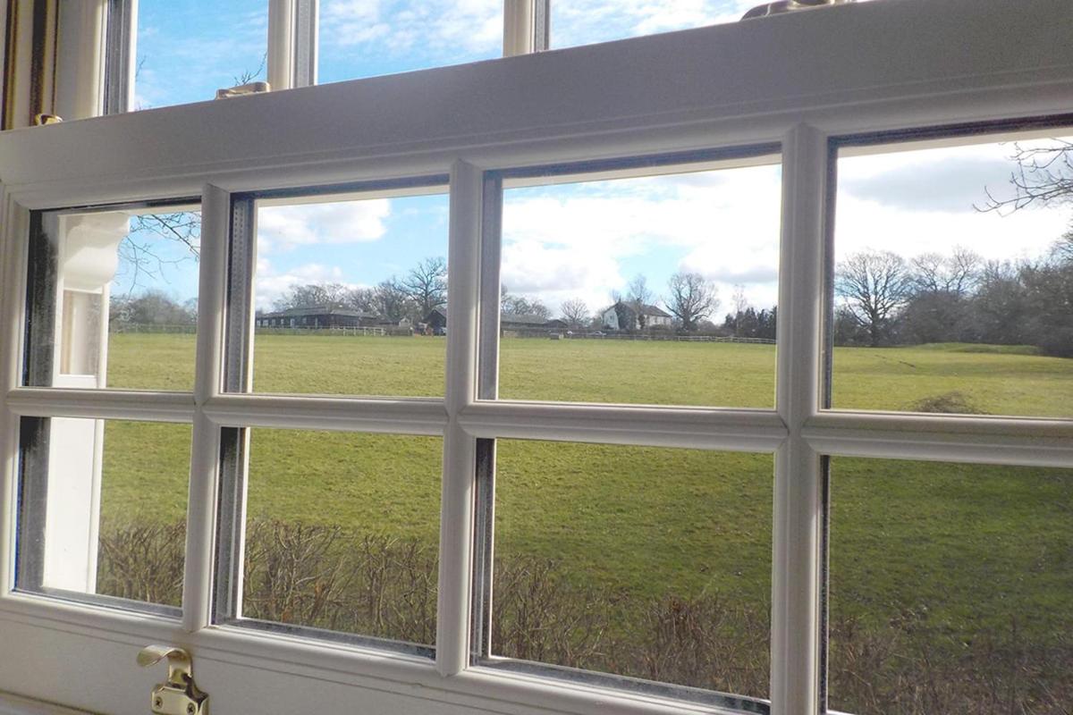 Greyhound Hever - Housity