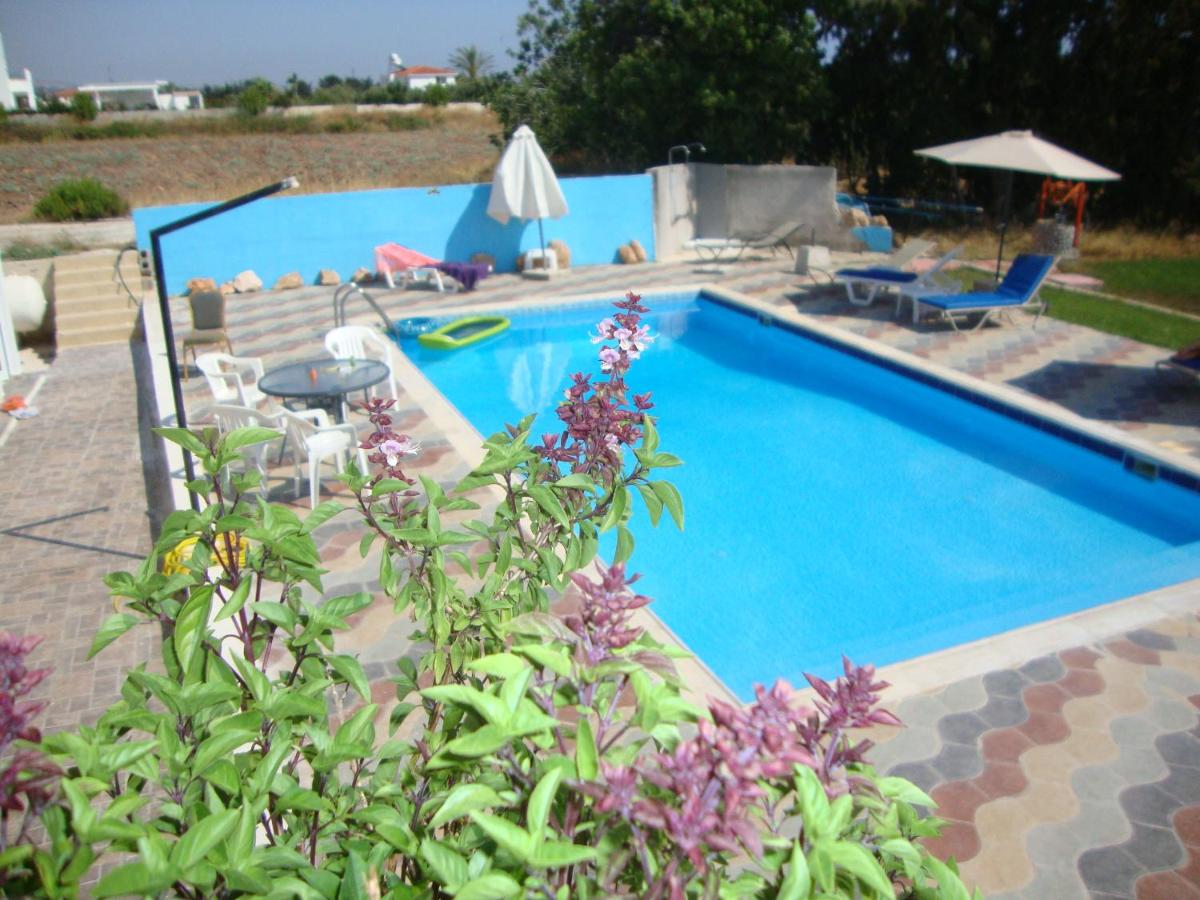 Bella Rosa hotel Cyprus - Housity