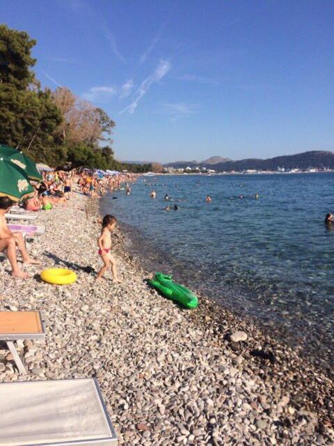 Apartments Cecunjanin - Housity