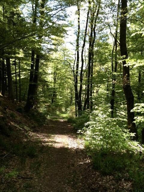 Chalet Les Ecureuils - Housity