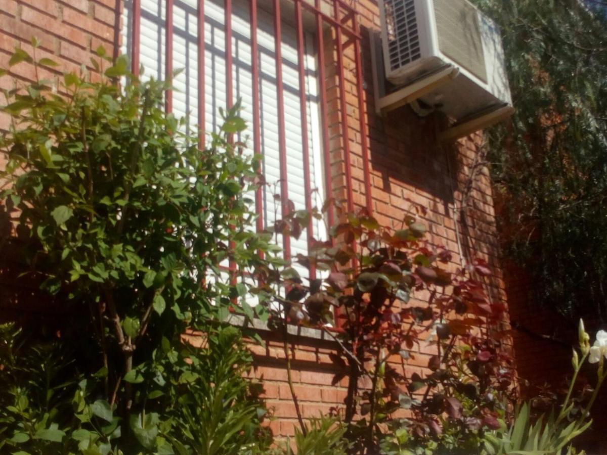 Casa Pinos - Housity