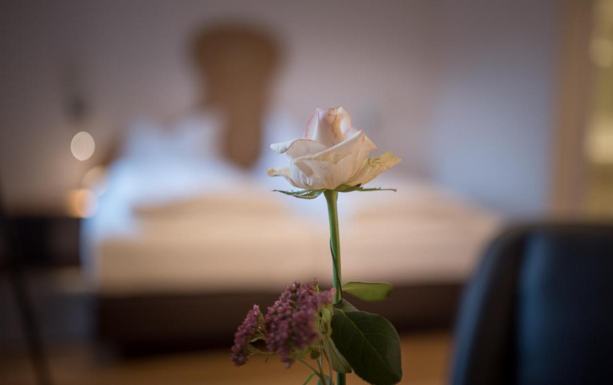 Brennereihotel Sponsel - Housity