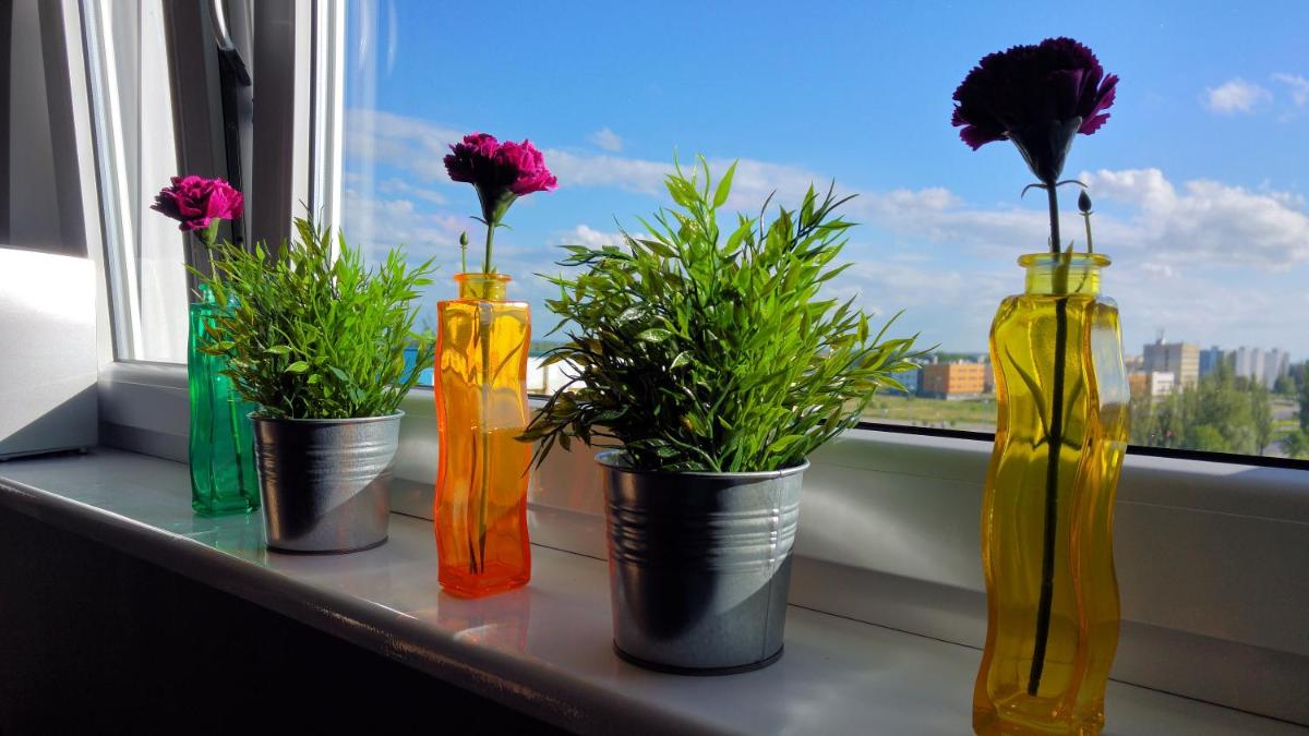Apartament u Teofila - Housity
